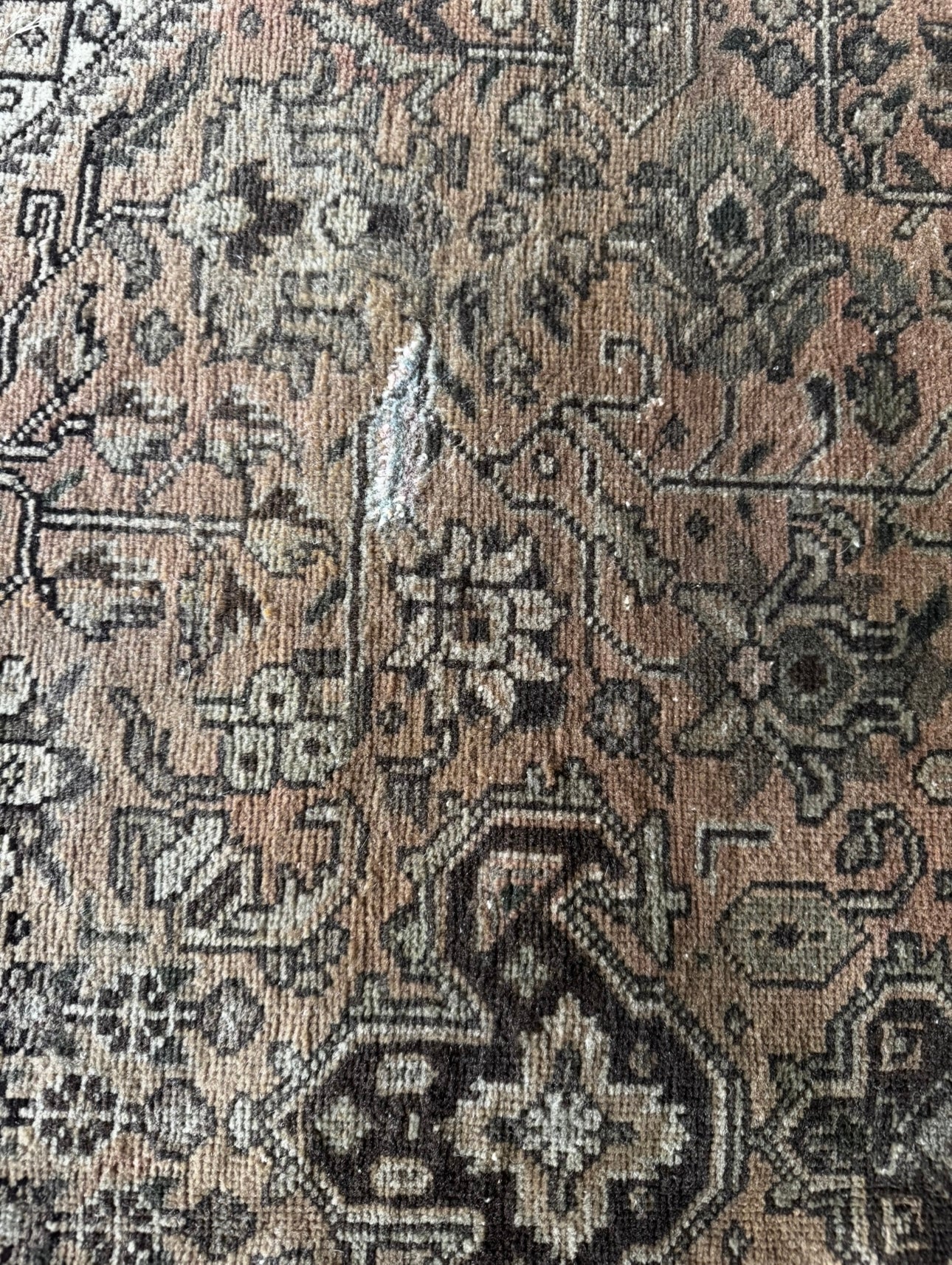 Vintage Moss & Saffron palace boarder rug 6’6 x 9’6