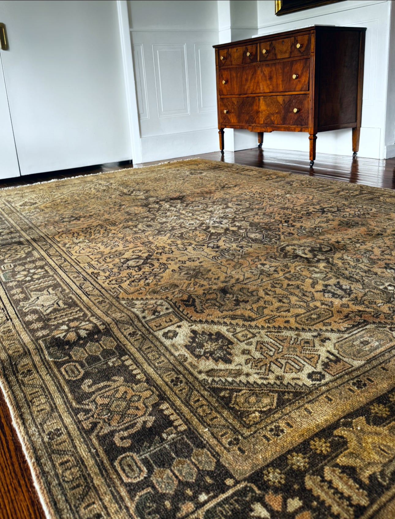 Vintage Moss & Saffron palace boarder rug 6’6 x 9’6