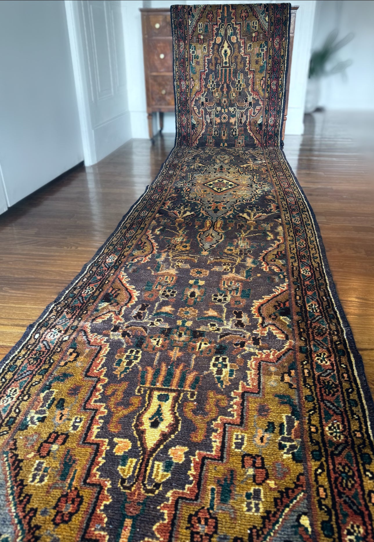 Vintage Kars Garden path runner 2’9x14