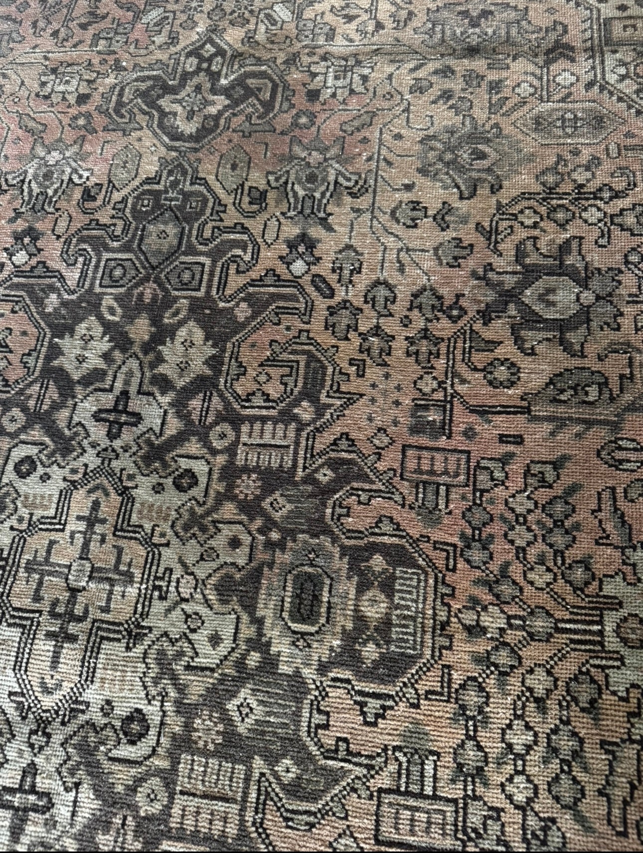 Vintage Moss & Saffron palace boarder rug 6’6 x 9’6