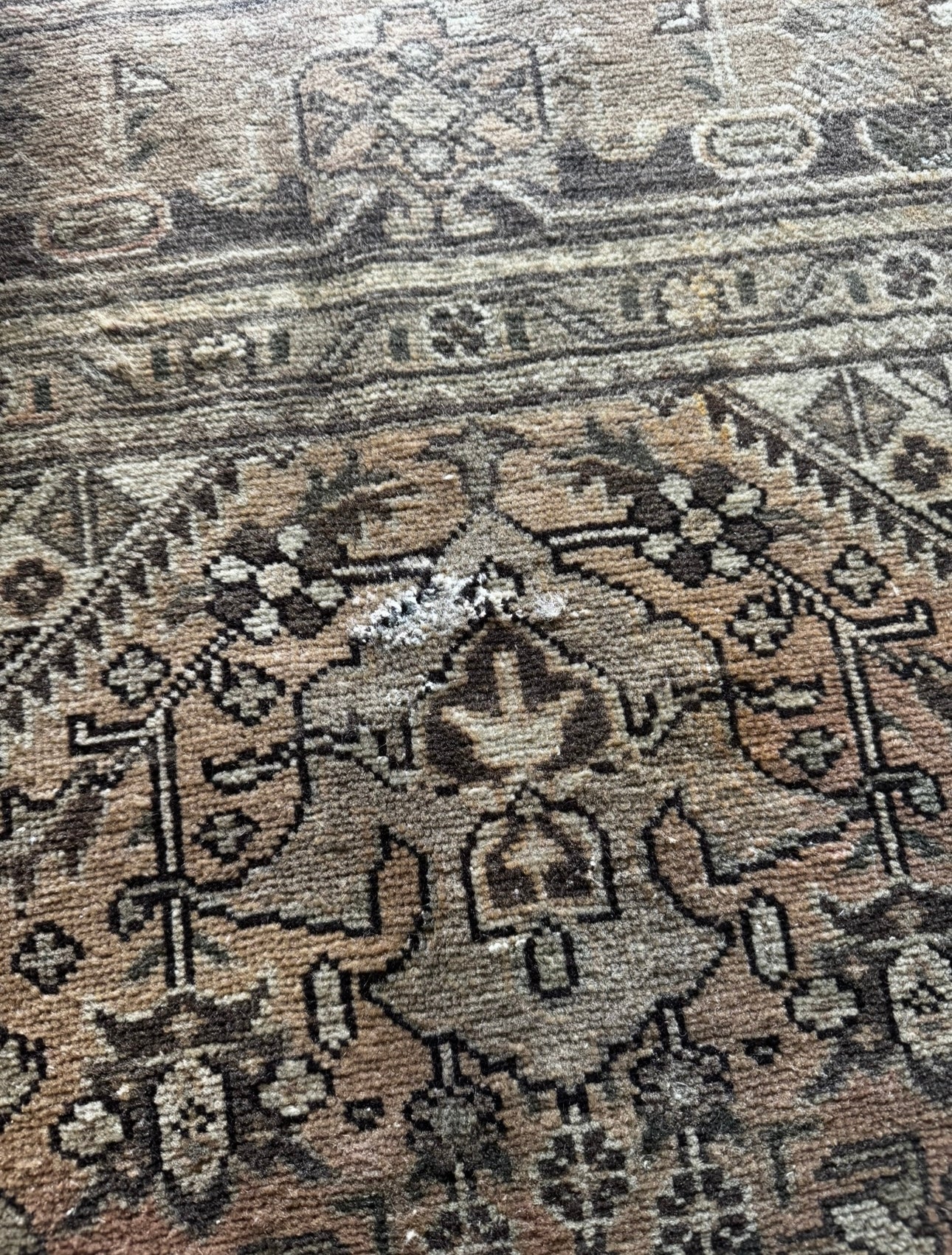 Vintage Moss & Saffron palace boarder rug 6’6 x 9’6