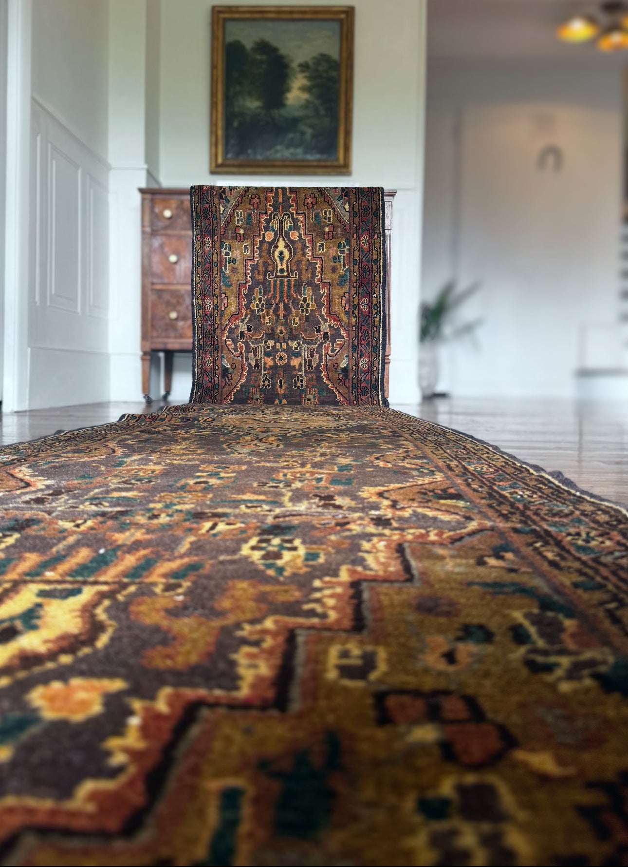 Vintage Kars Garden path runner 2’9x14