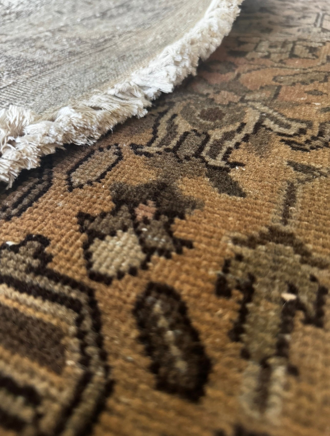 Vintage Moss & Saffron palace boarder rug 6’6 x 9’6