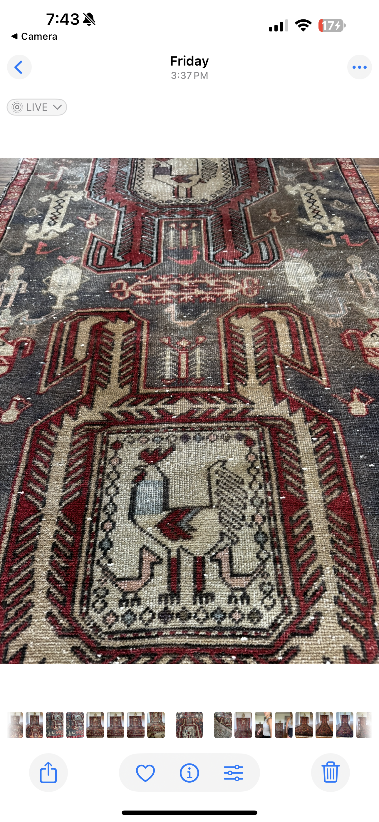 Vintage Rooster Revival Rug 3’ x 10’3