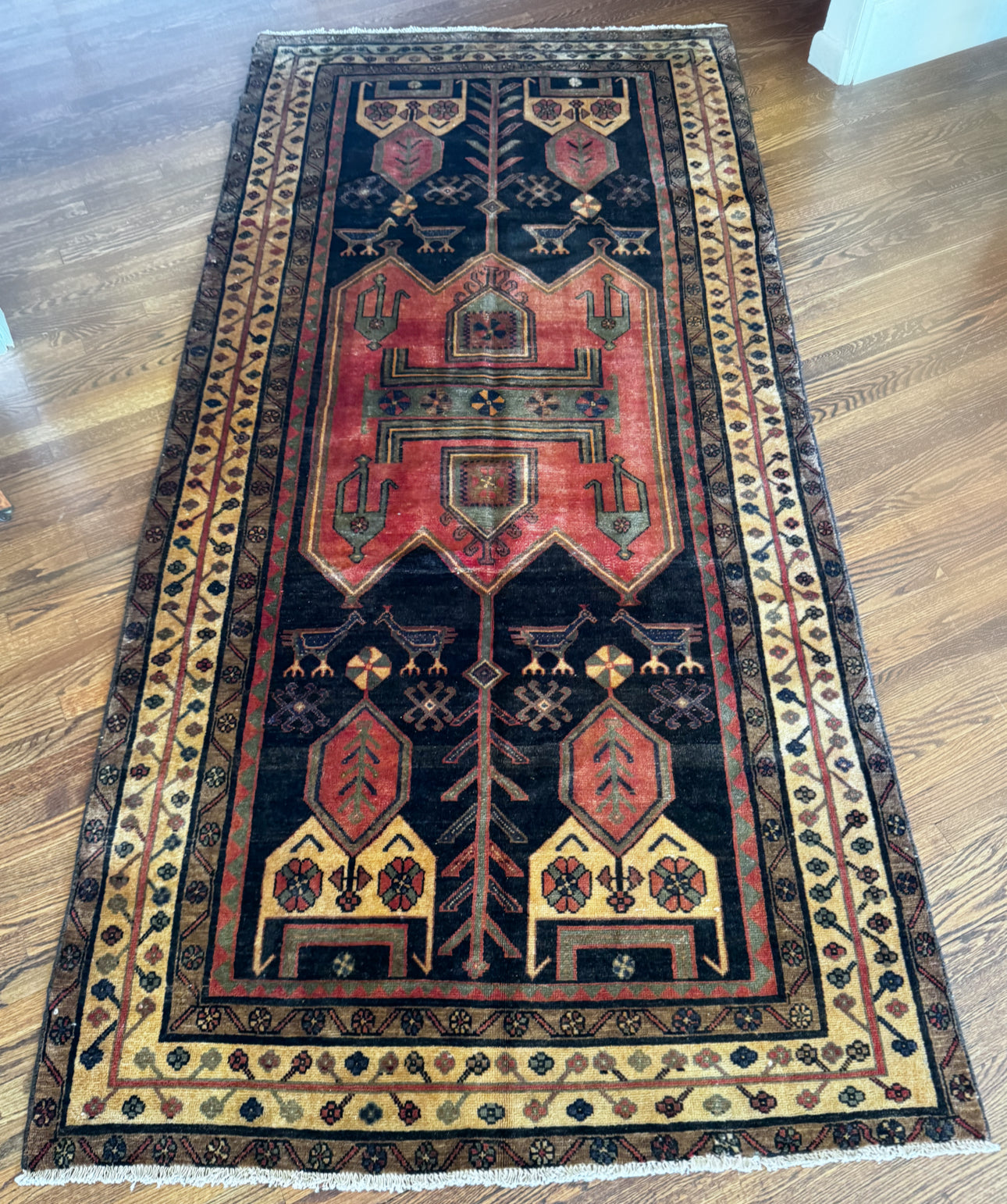 Vintage Anatolian ember and onyx bird Gallery Rug - 4’8 x 9’10