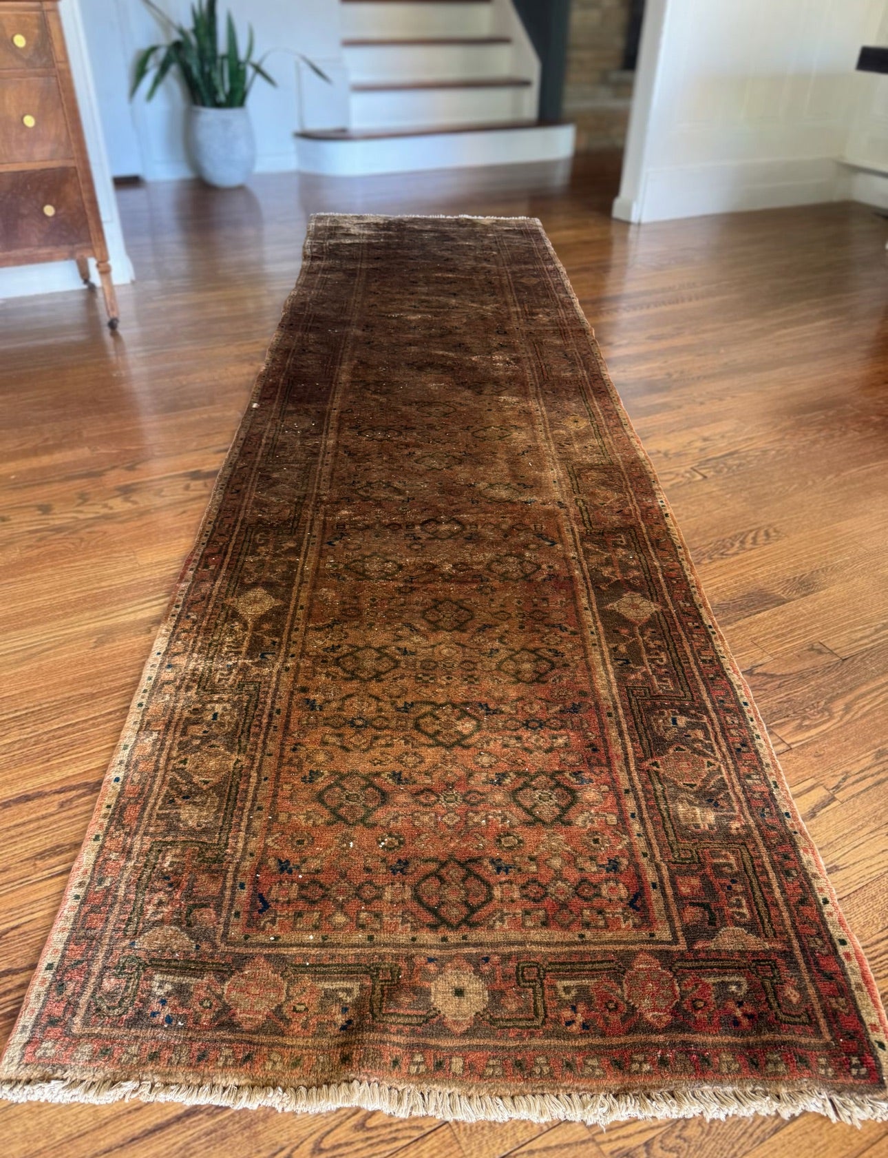 Antique “Golden Ghost” Malayer Runner Circa 1890–1910 | 3’6” × 13’ | Handwoven in Western Persia