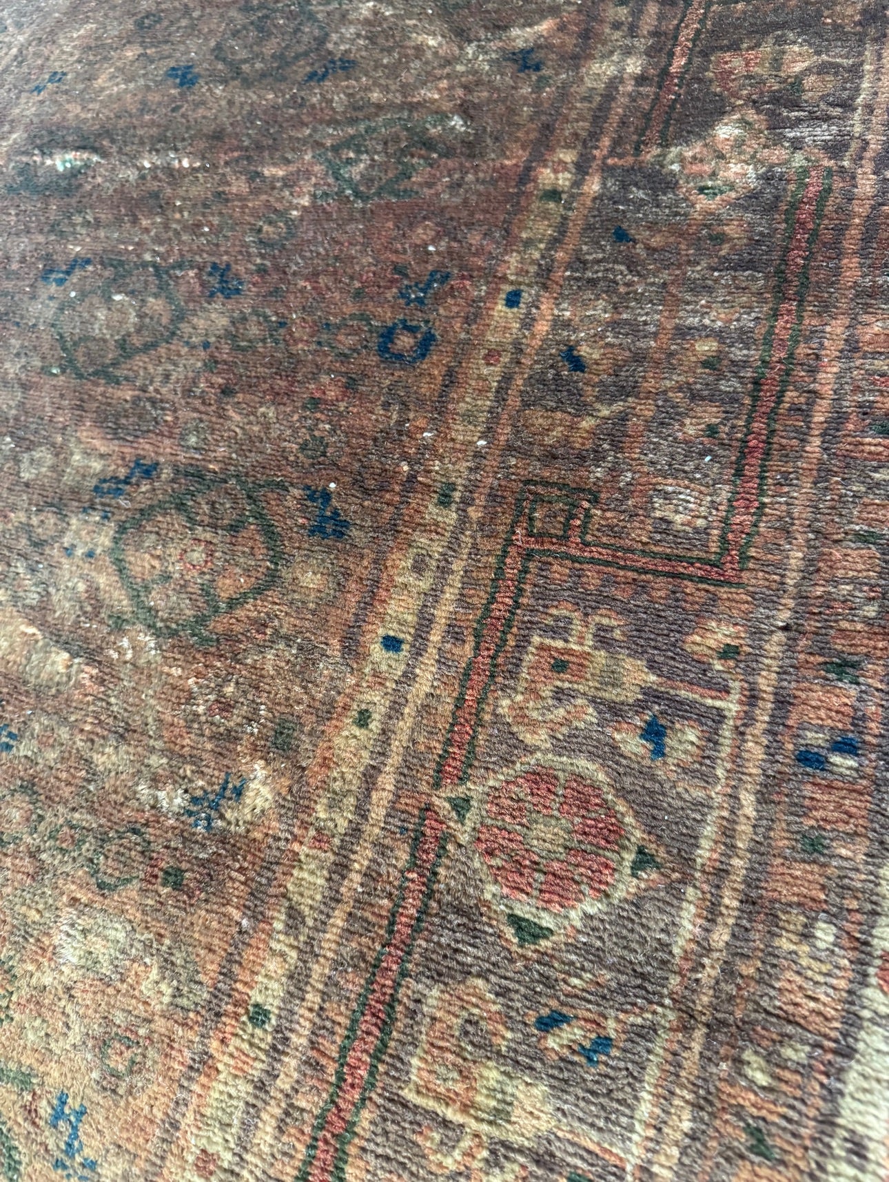 Antique “Golden Ghost” Malayer Runner Circa 1890–1910 | 3’6” × 13’ | Handwoven in Western Persia