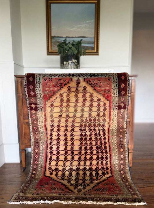 Vintage Desert Sorbet 3’1 x 4’2 circa 1950-1960
