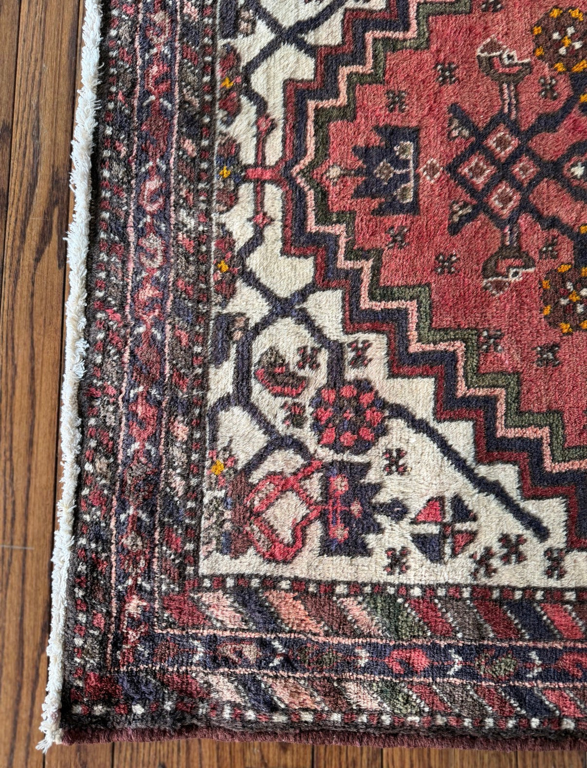 Vintage Garden Archive 3’6 x 5’3 circa 1945-1960