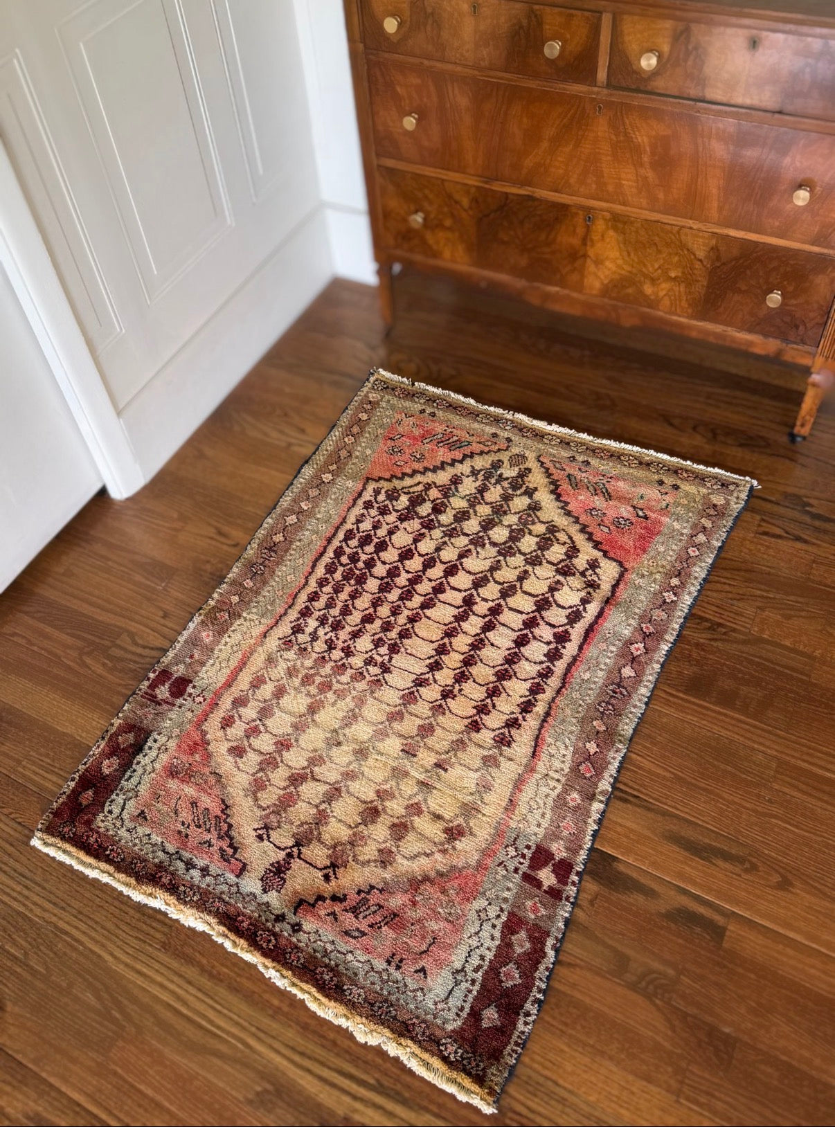 Vintage Desert Sorbet 3’1 x 4’2 circa 1950-1960