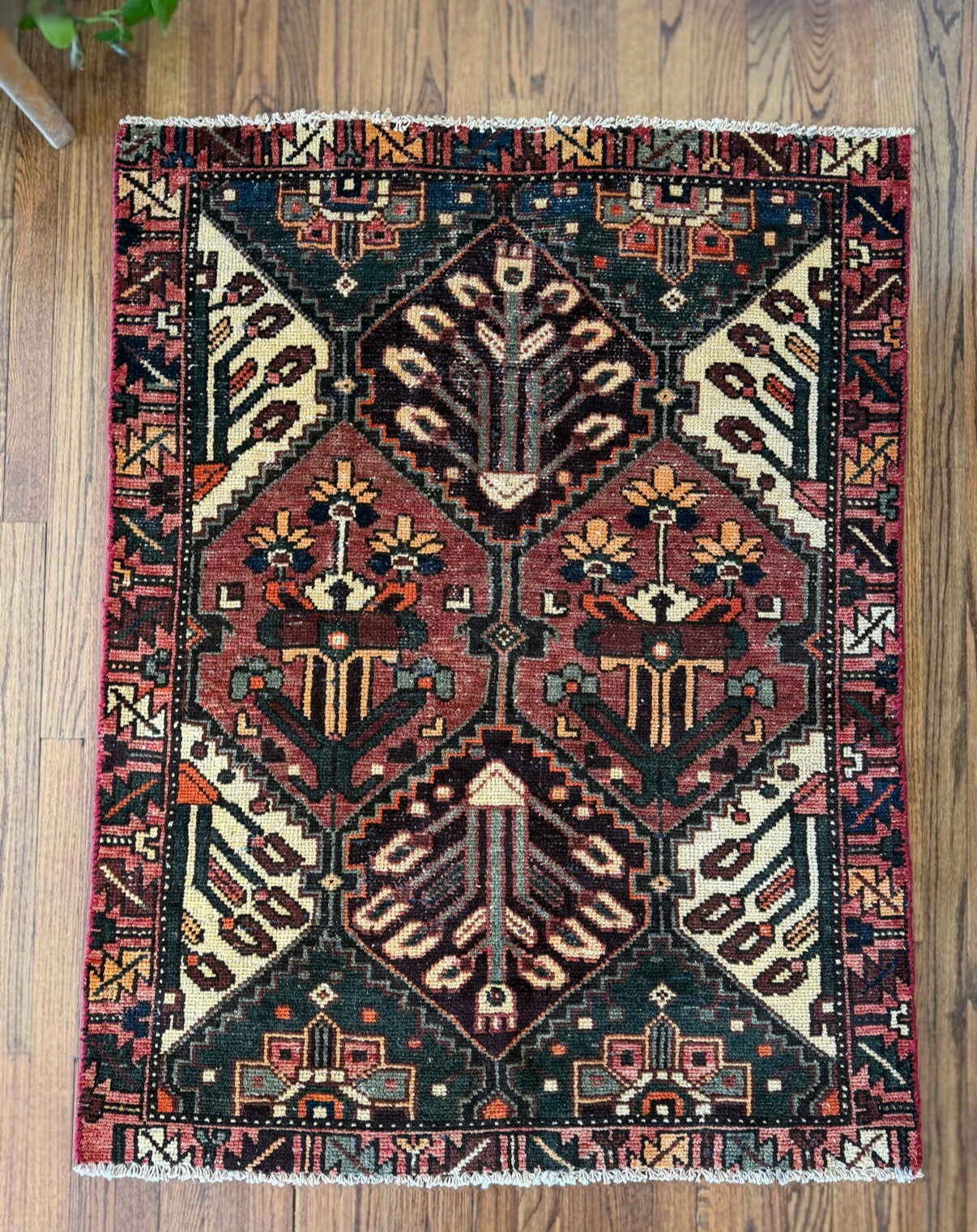 VINTAGE MOUNTAIN ORCHARD 3’5 x 4’5 circa 1945-1955